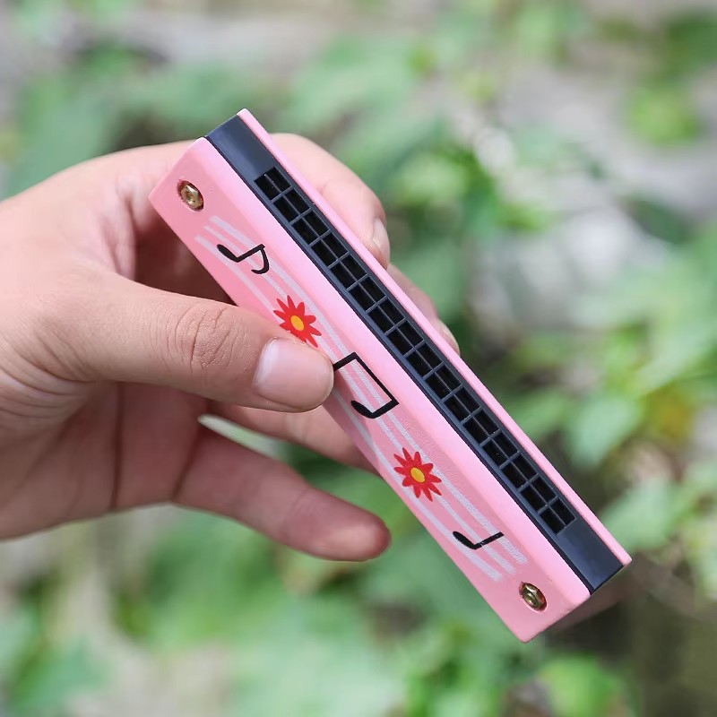 Ensemble de flûte et Harmonica - Woodworking School avis et prix